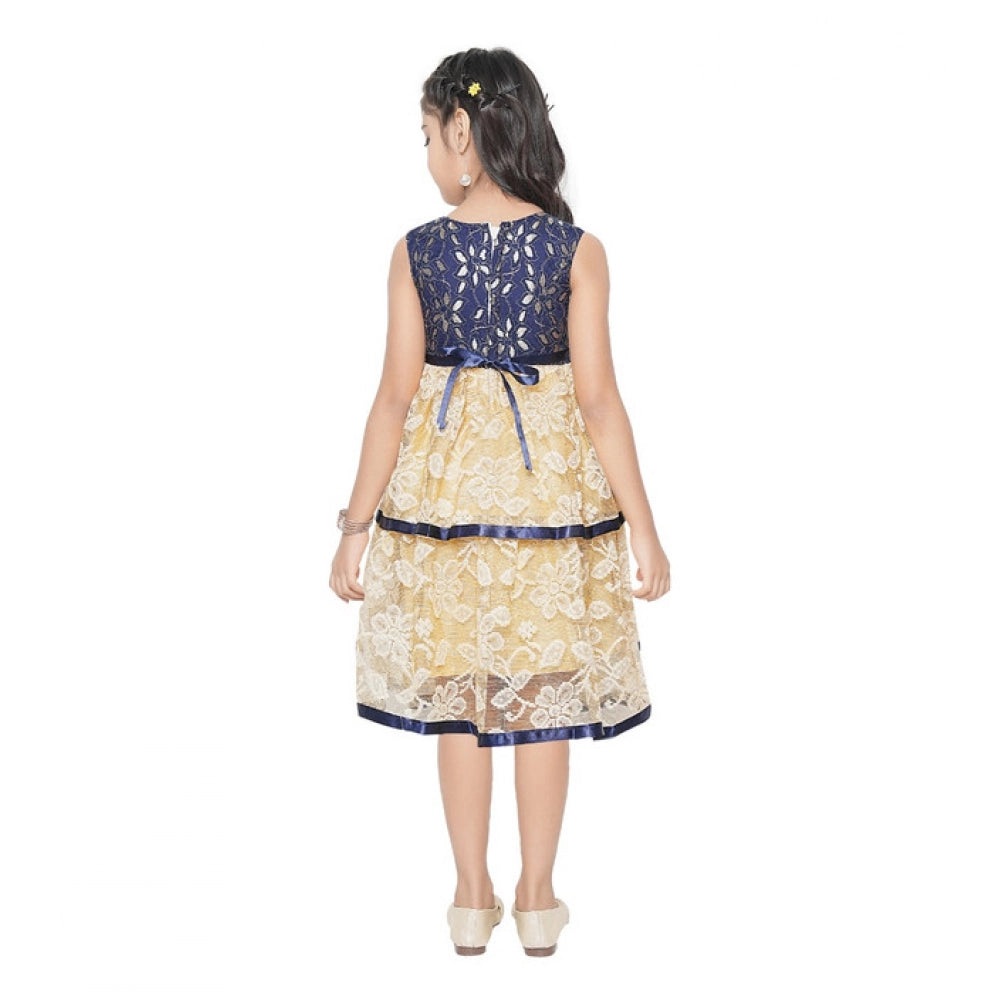 Girl's Fancy Net Net Sleeve Less Round Neck Dress (Blue)